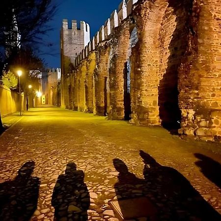 Hotel Macri Montagnana  Exteriér fotografie
